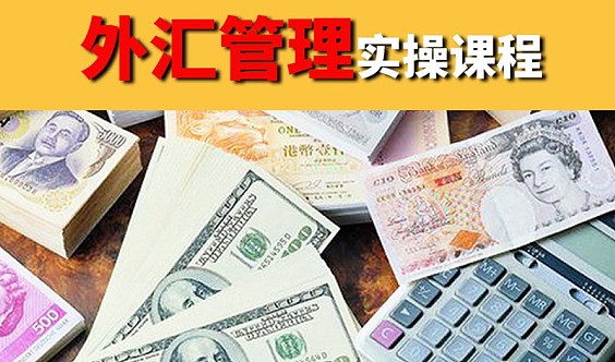 外汇管理实操课程